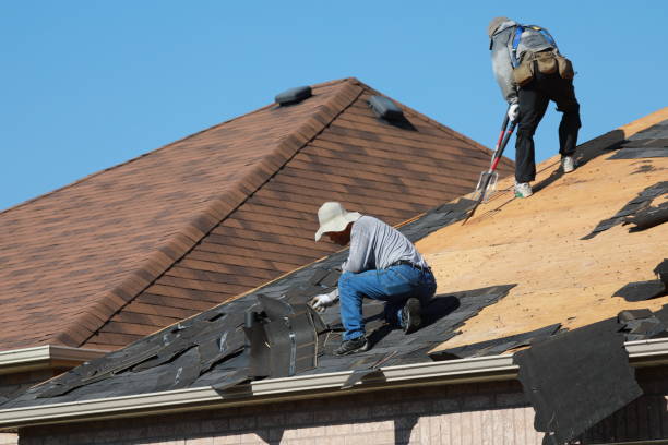 Best Storm Damage Roof Repair  in Dock Junction, GA