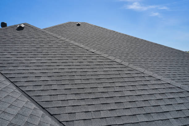 Best Roof Coating and Sealing  in Dock Junction, GA